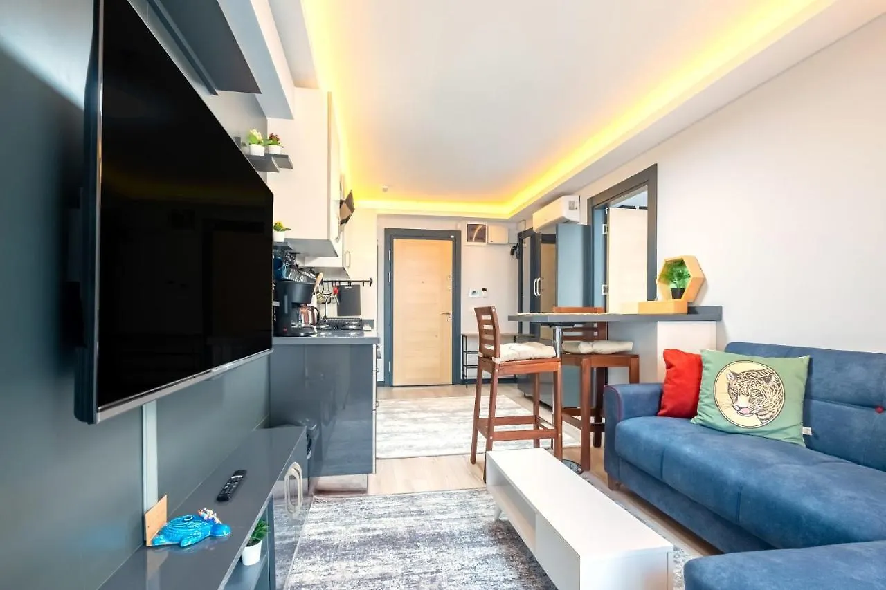 Lovely And Central Flat Near Ciragan Palace In Yildiz Besiktas Apartment Istanbul Turkey