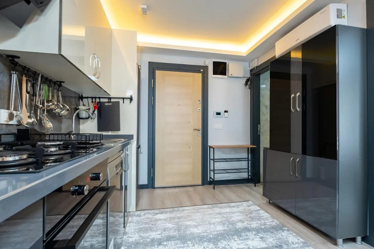 イスタンブールLovely And Central Flat Near Ciragan Palace In Yildiz Besiktasアパートメント