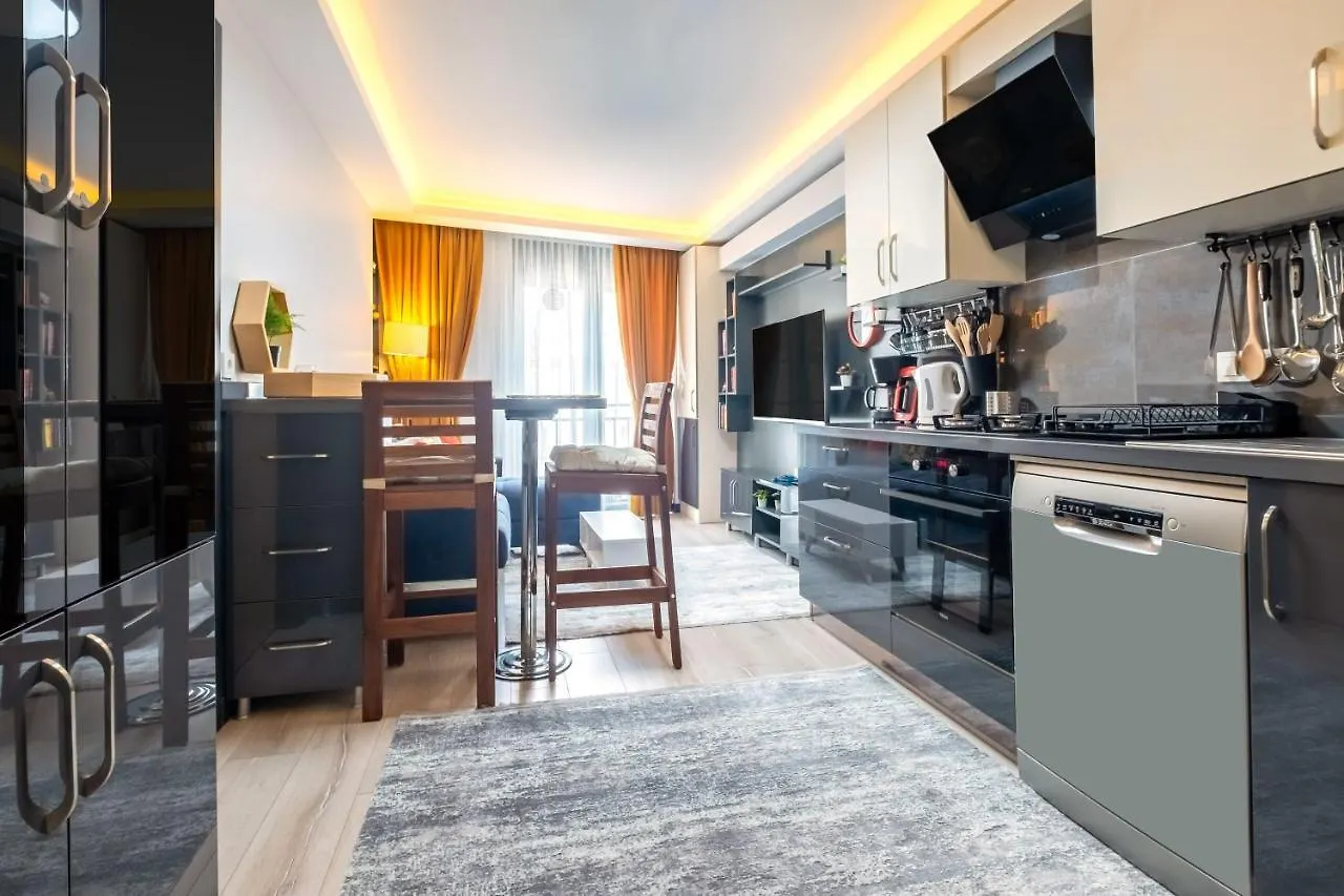 イスタンブールLovely And Central Flat Near Ciragan Palace In Yildiz Besiktasアパートメント トルコ