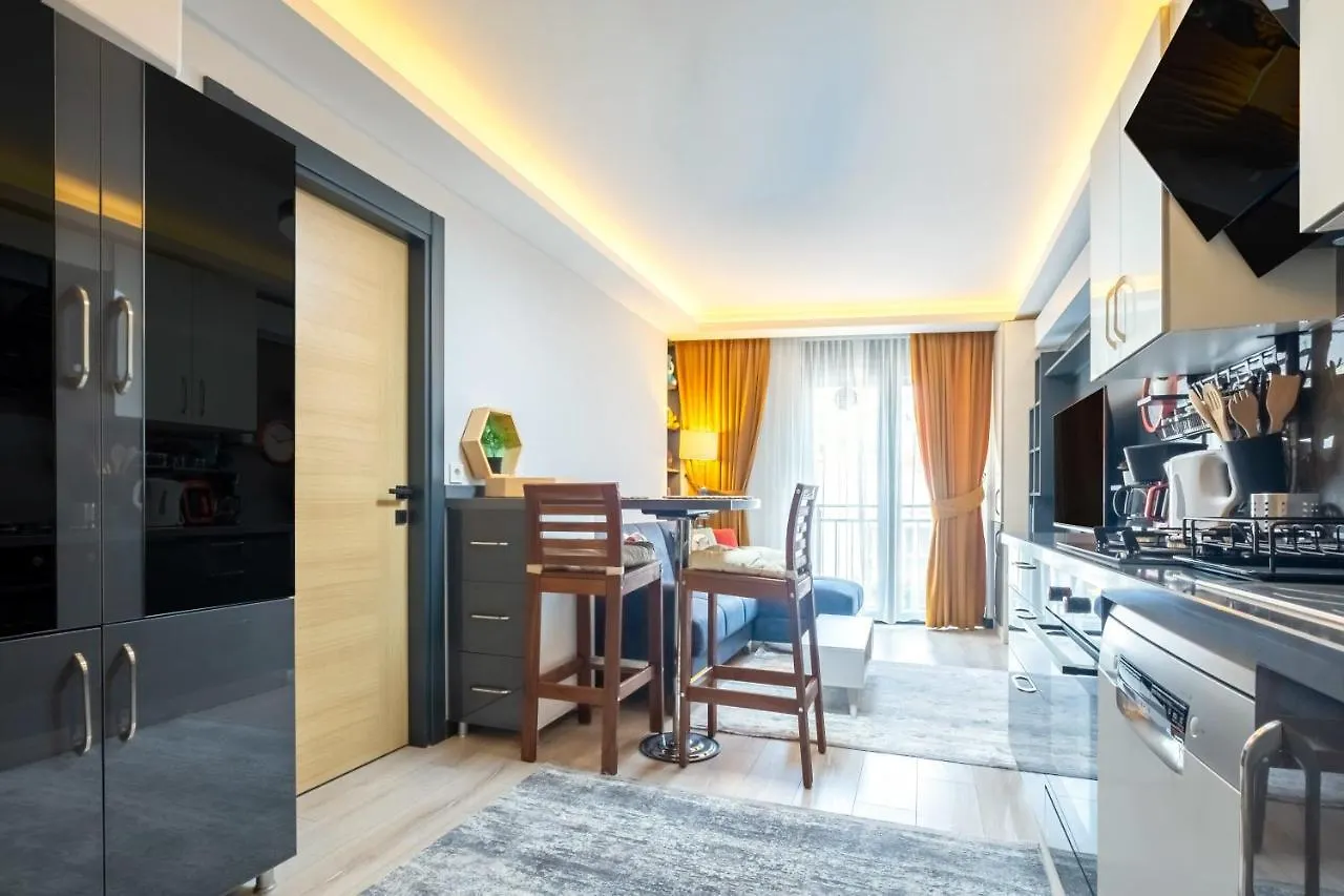 Lovely And Central Flat Near Ciragan Palace In Yildiz Besiktas Apartment Istanbul